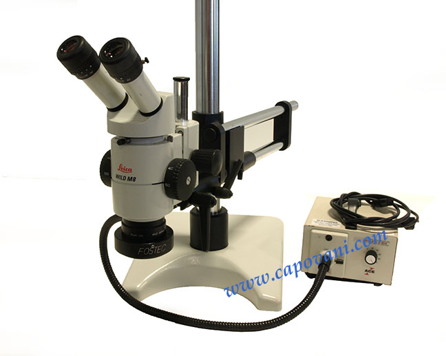 LEICA WILD STEREO MICROSCOPE 6X - 50X