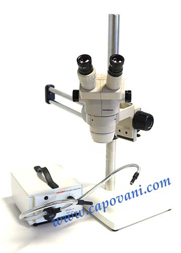 OLYMPUS STEREO MICROSCOPE 10X - 40X