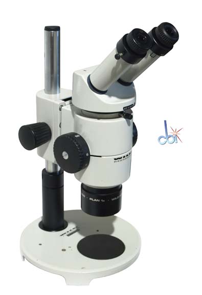 WILD STEREO MICROSCOPE 6X - 50X